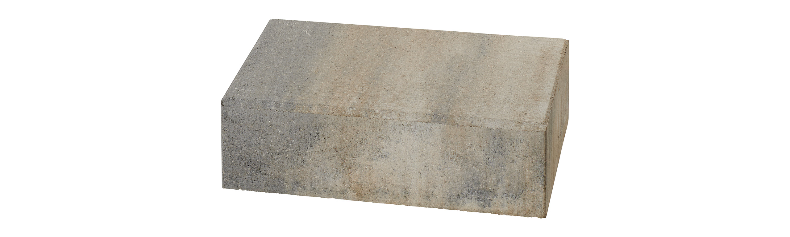 La Tierra stopień 15x34x50cm wapień muszlowy niuansowany. gładki beton