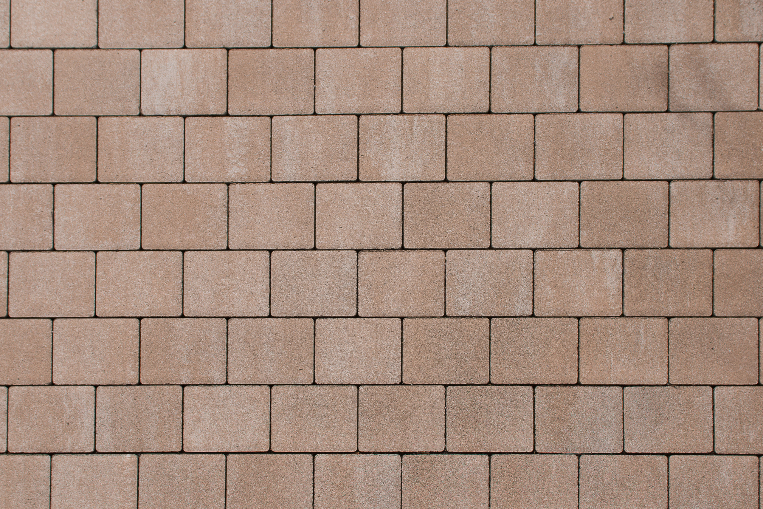 BWL Tecanto kostka brukowa 20,1/16,8/8 cm piaskowiec