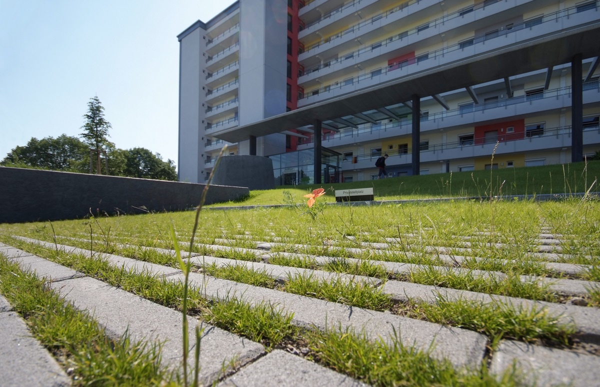 GDM SCADA Turf liner slab nativo Grey L/W/D: 40/40 u 40/20/12cm m 42mm jointVZ4
