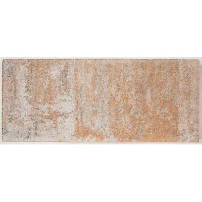 GDM DECASTON light nativo shell limestone L/W/D: 40/40/5cm bez fazowanej krawędzi