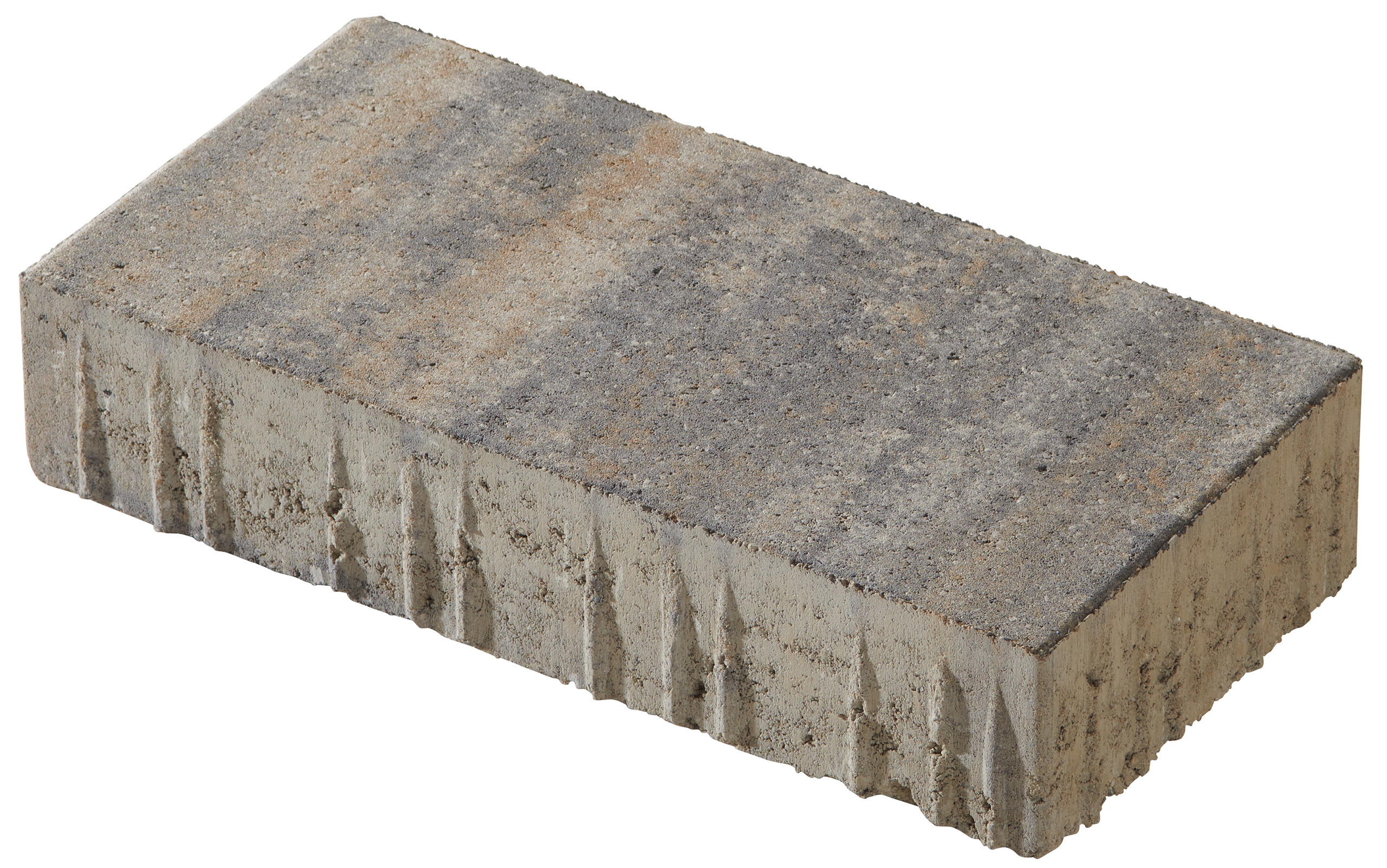 Plaster MultiTec Colour 40x20x8cm shell limestone nuanced. smooth concrete