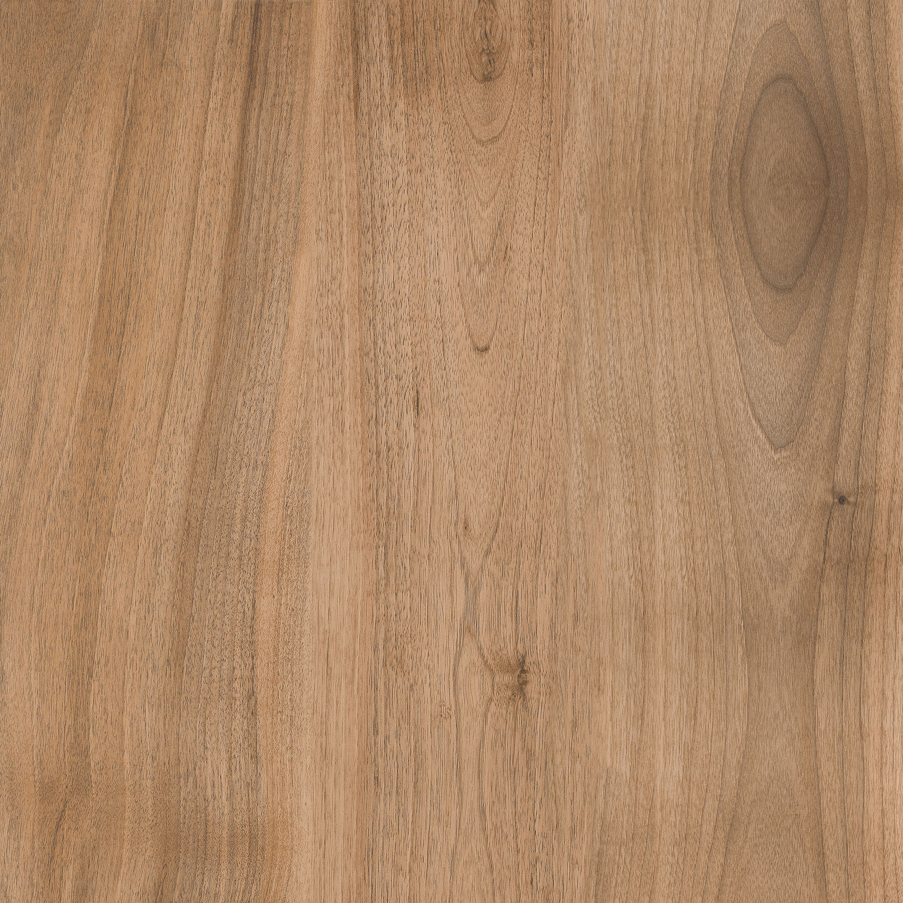 GZO Arena wood Marrone 60/60/2 cm średni brąz