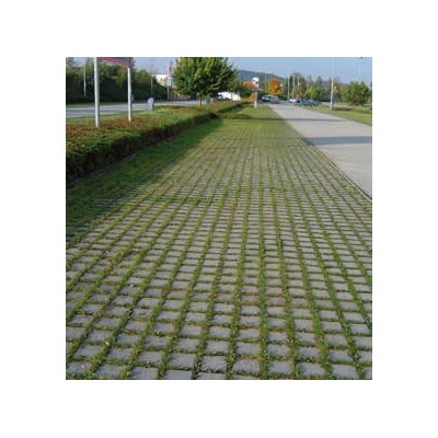 BWL Carre Rasenfugenstein naturgrau 20x20x8cm m. Microfase