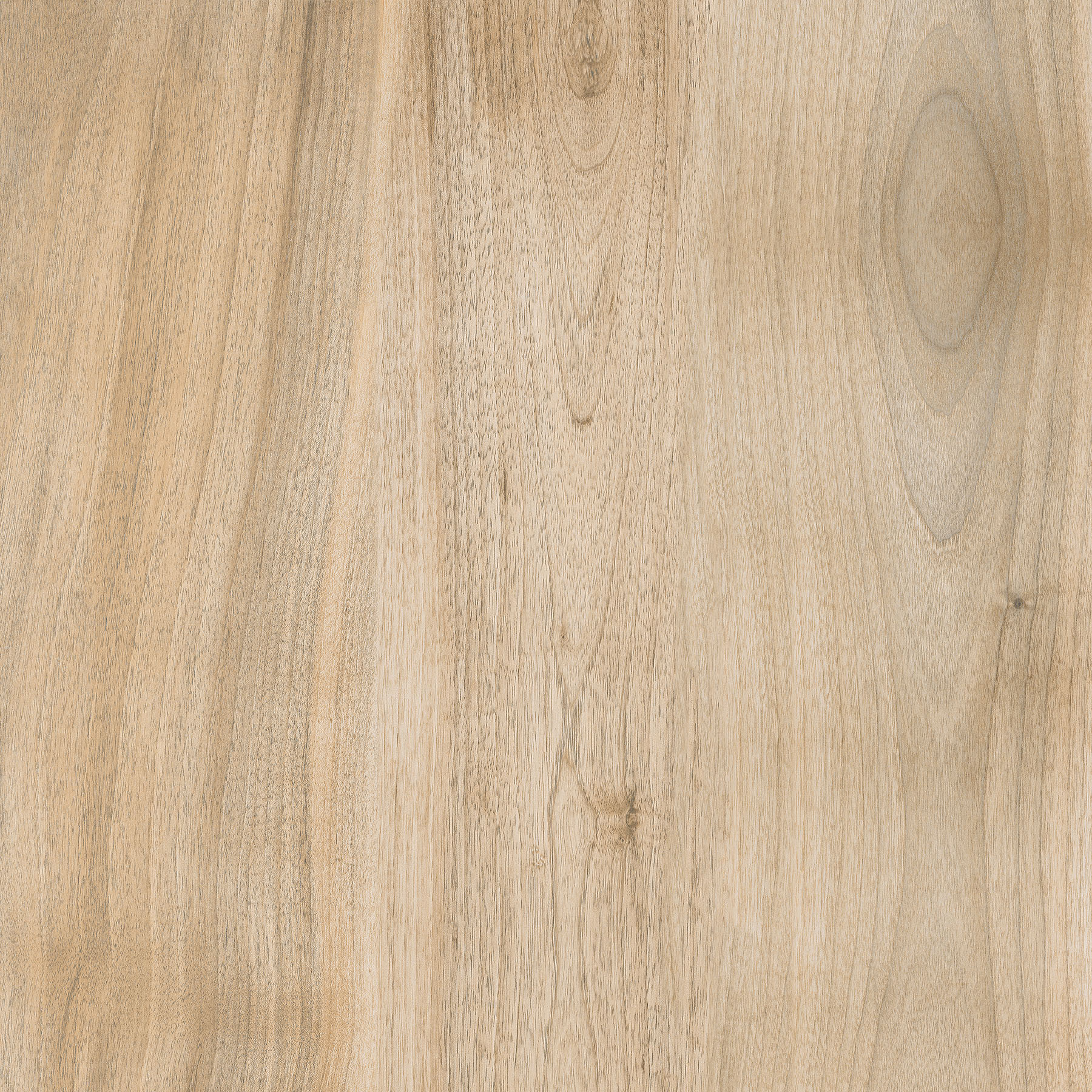 GZO Arena wood Noce 60/60/2 cm jasnobrązowy