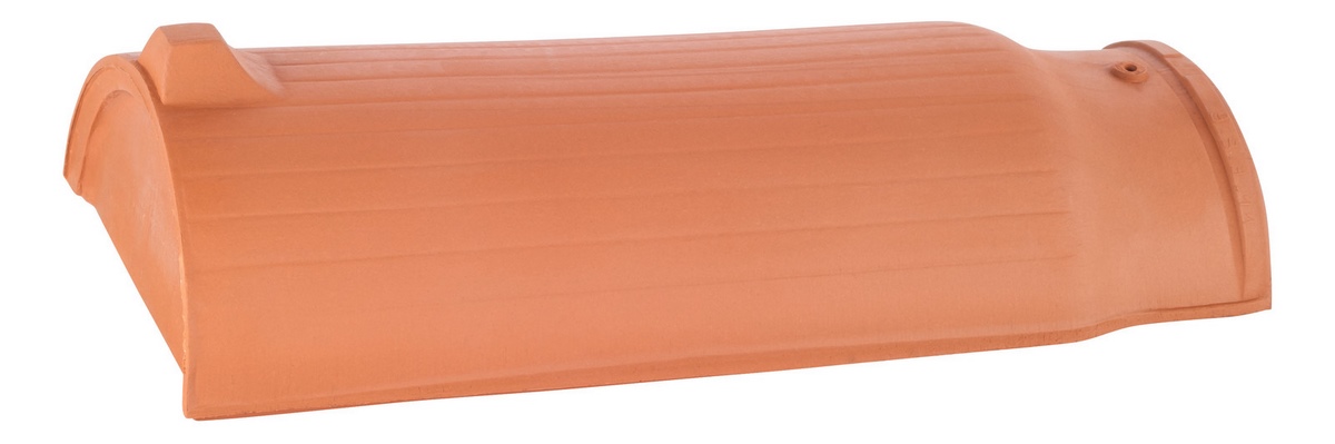 Erlus ridge end tile no. 2 anthracite - M