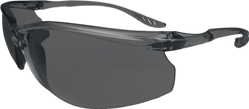Schutzbrille Daylight One EN 166 Bügel schwarz.Scheiben smoke PC