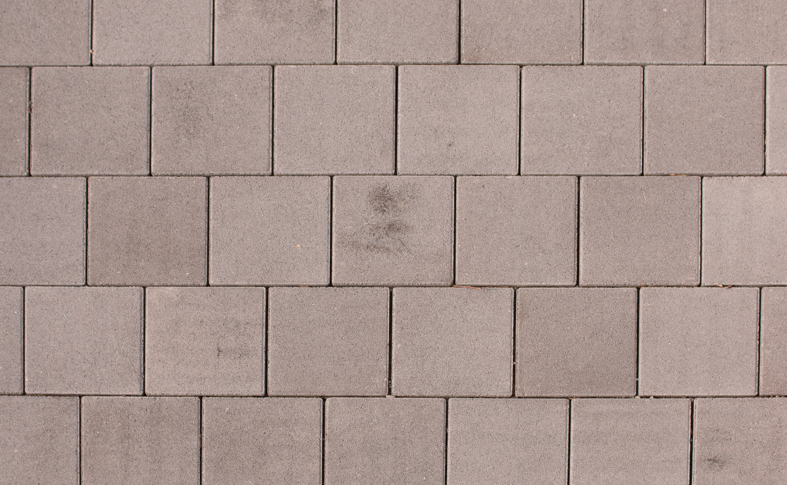 BWL Plaster Carre 30/30/8 cm naturalny szary