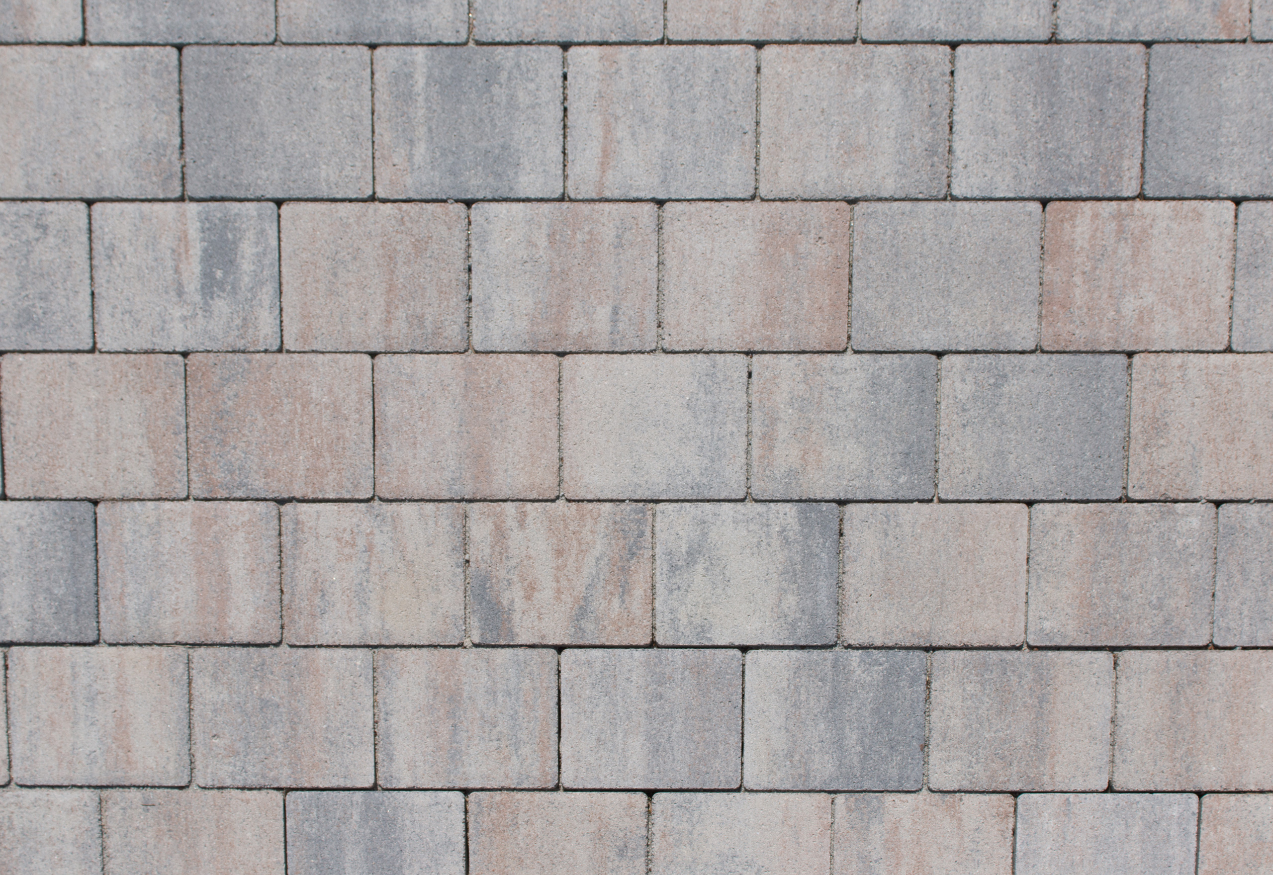 BWL Tecanto plaster 20.1/16.8/8 cm shell limestone