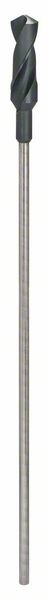 Bosch PRO Wood HSS Installationsbohrer 28x100x600mm
