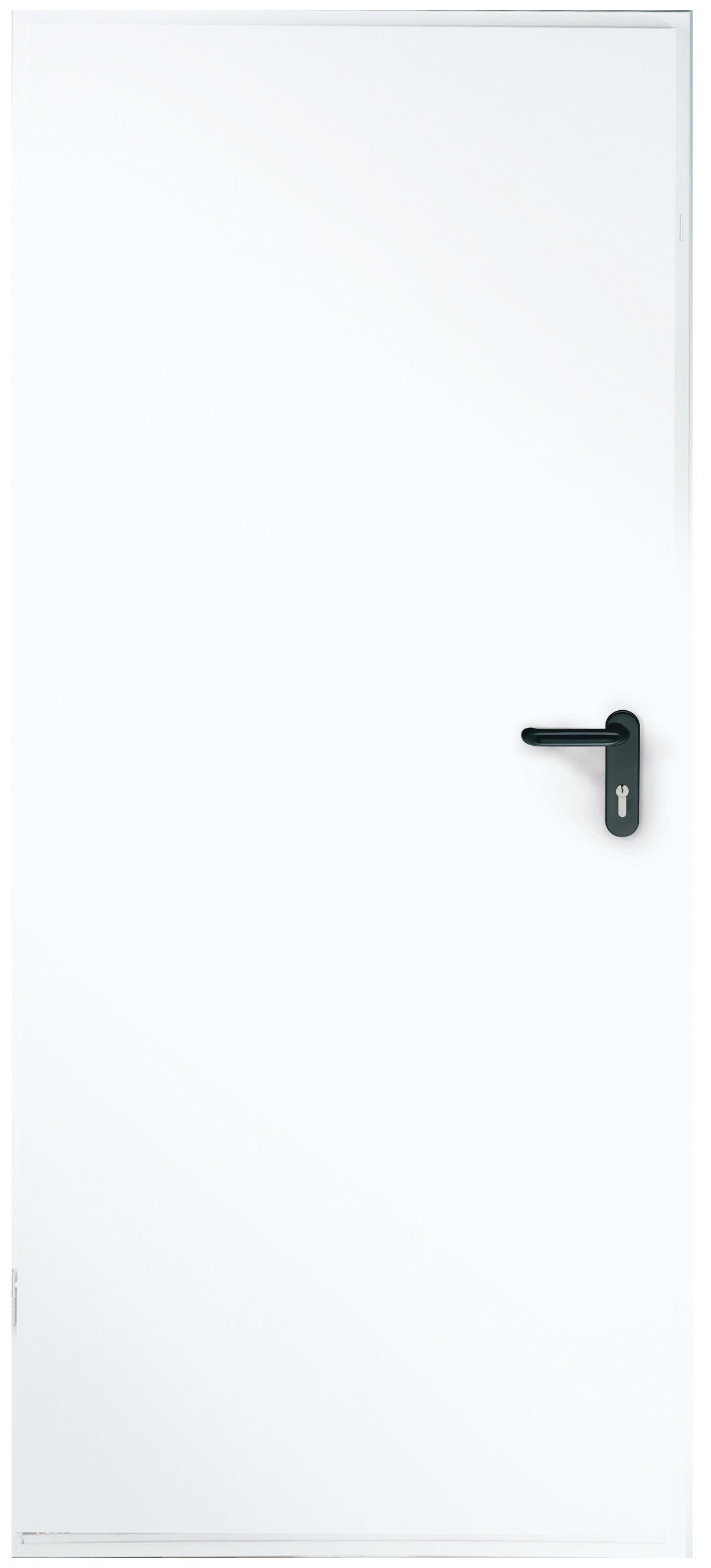 Novoferm Premio T30-1 RS1 fire door 2000x875mm MW 145 LEFT