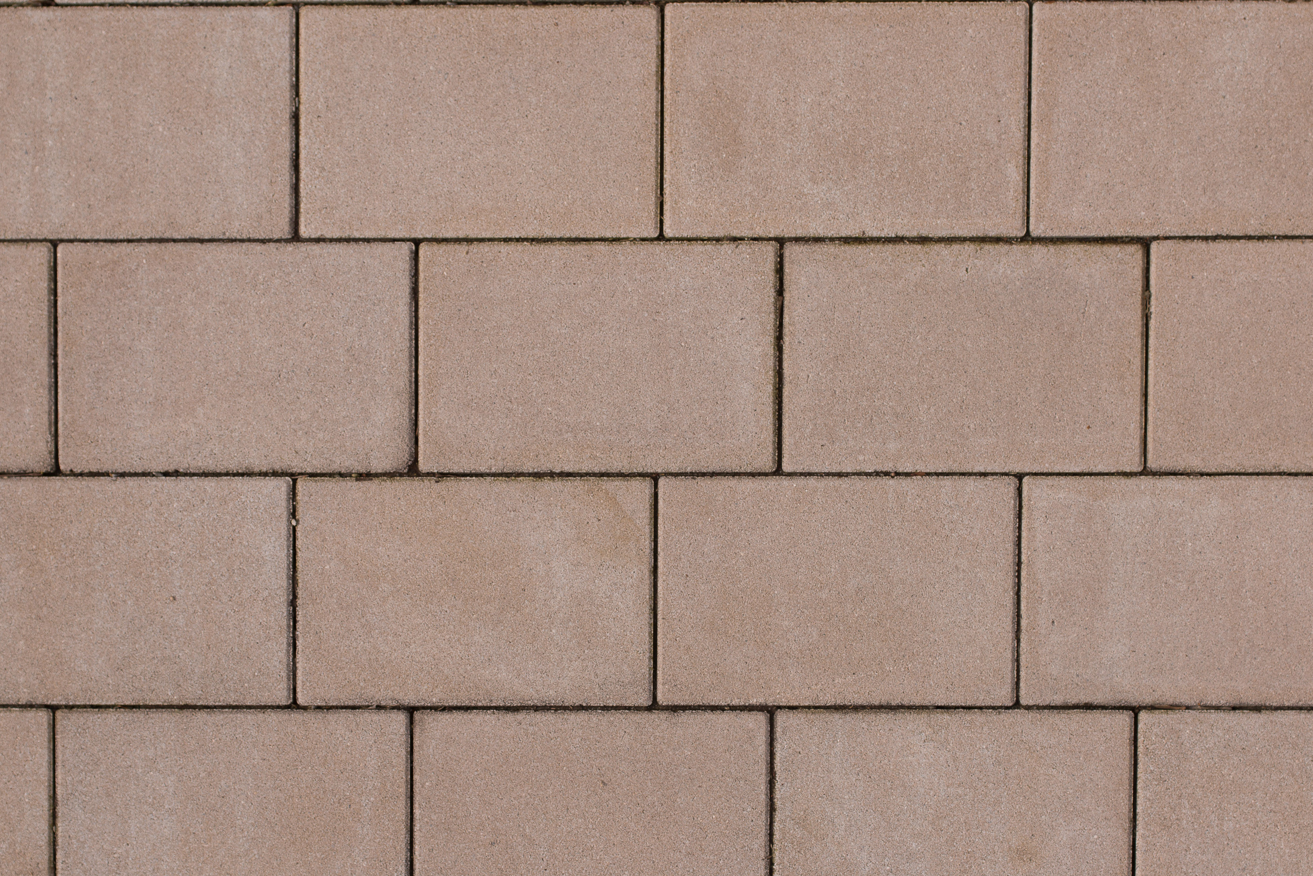 Kostka brukowa BWL Carre 30/20/8 cm piaskowiec