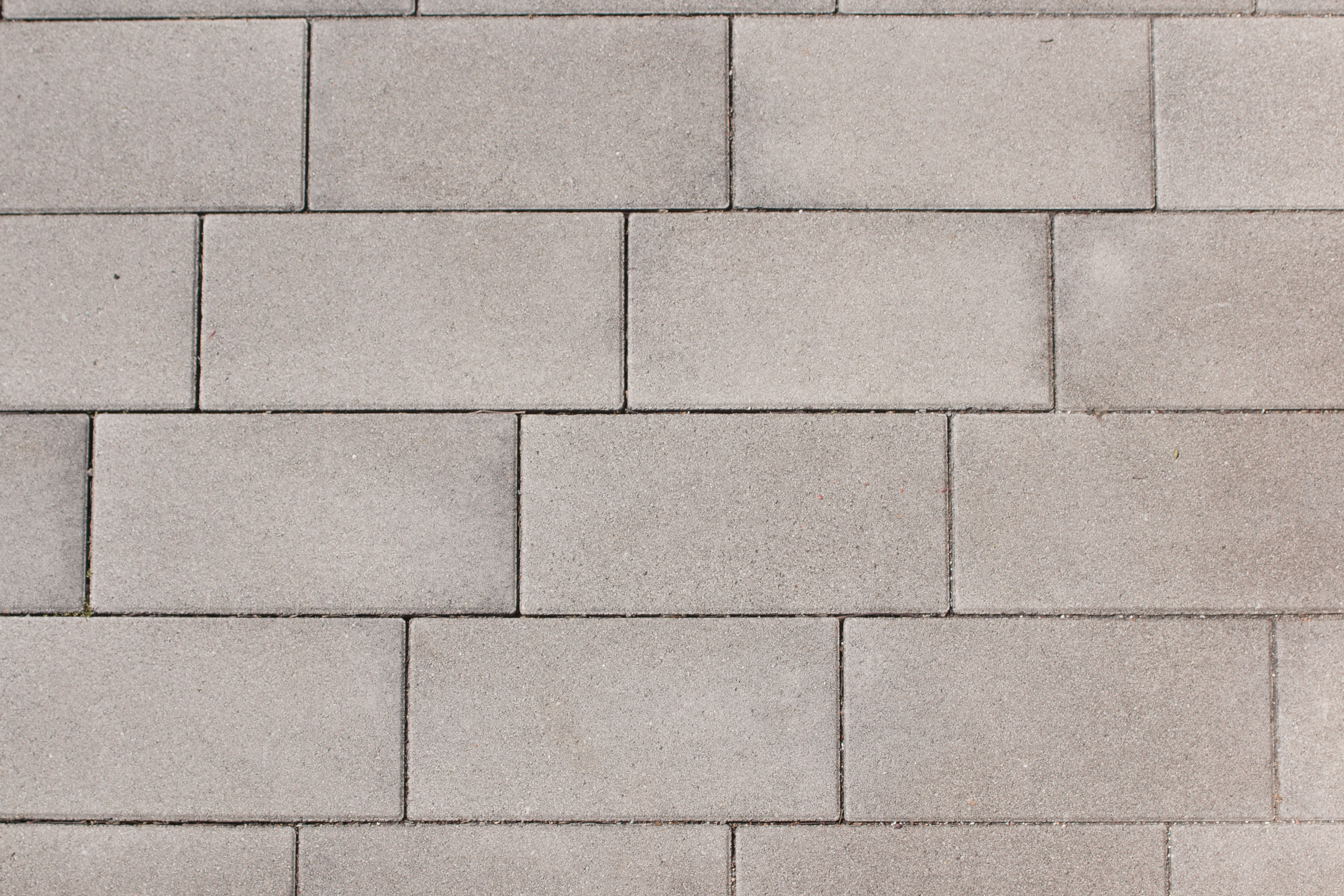 BWL Pflaster Carre 40/20/8 cm naturgrau