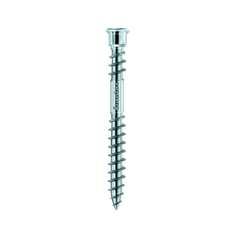 Eurotec Terrassotec Edelstahl A4 TX25 5.5 x 60 mm 100 St.