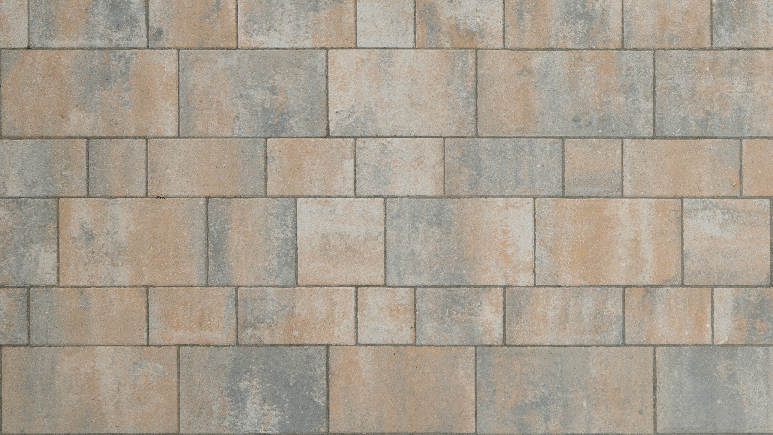 Plaster La Tierra stretcher bond 6cm shellac. nuanced. concrete smooth