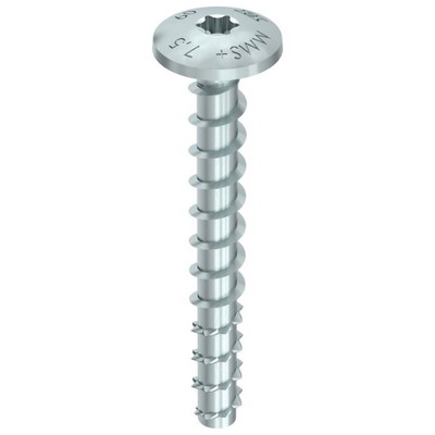 MULTI-MONTI-plus Senkkopfschraube 6x100 T-Drive vz blau TG