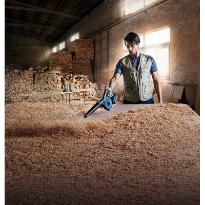 Bosch GBL 18V-120 PROFESSIONAL Akku-Gebläse