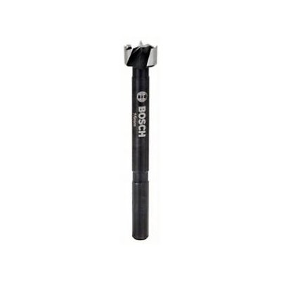 Bosch Forstner bit DIN 7483 G Ø15mm crimped - 2608577003