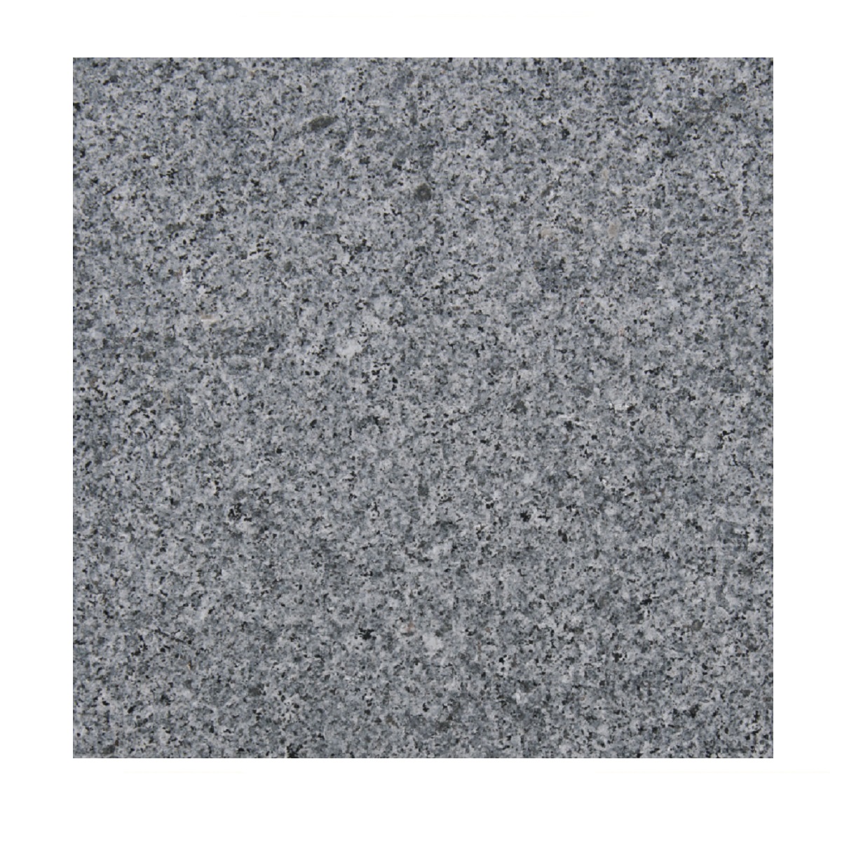 Delta granite floor slab G654-VN 40x40x3 OF flamed + brushed edges 3mm bevelled
