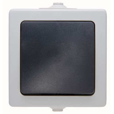 Kopp AP-FR A/W switch Nautic grey