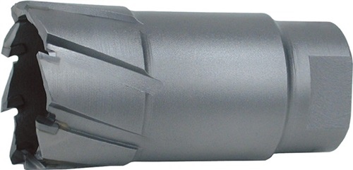 Kernbohrer D.22mm HM Schnitt-T. 50mm Gew.-Aufn. RUKO