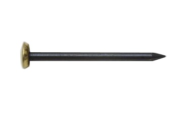 SWG Bildernägel blau MS-KOPF  2x25
