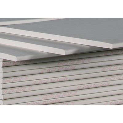 Rigips Die Dicke RF 25 25x625x2000mm - 32 Stück / Palette