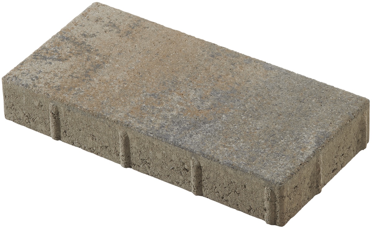 Kann Plaster Keno shell limestone 40x20x6cm smooth concrete