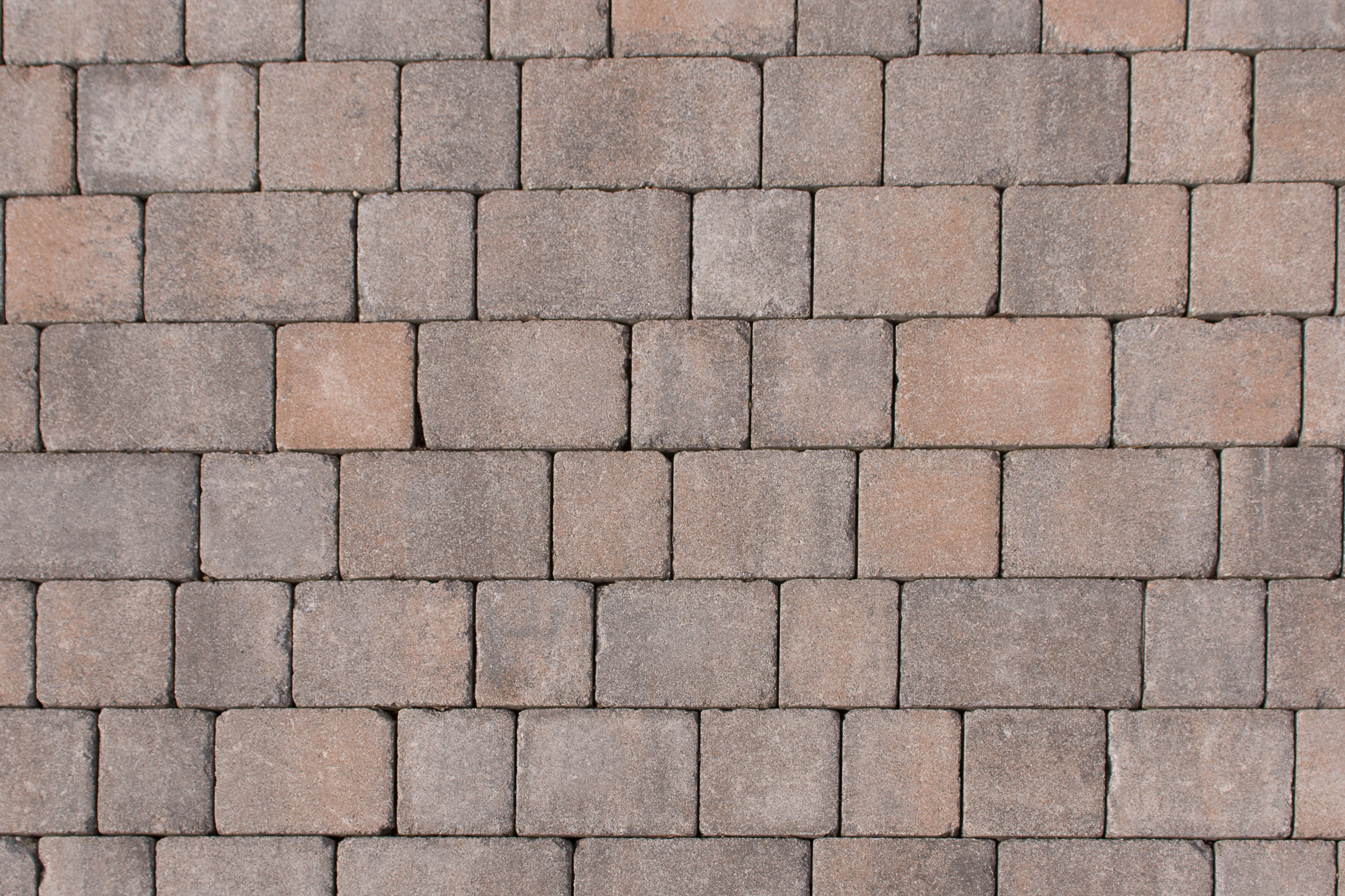 BWL multi-brick system Tegula small marbled
