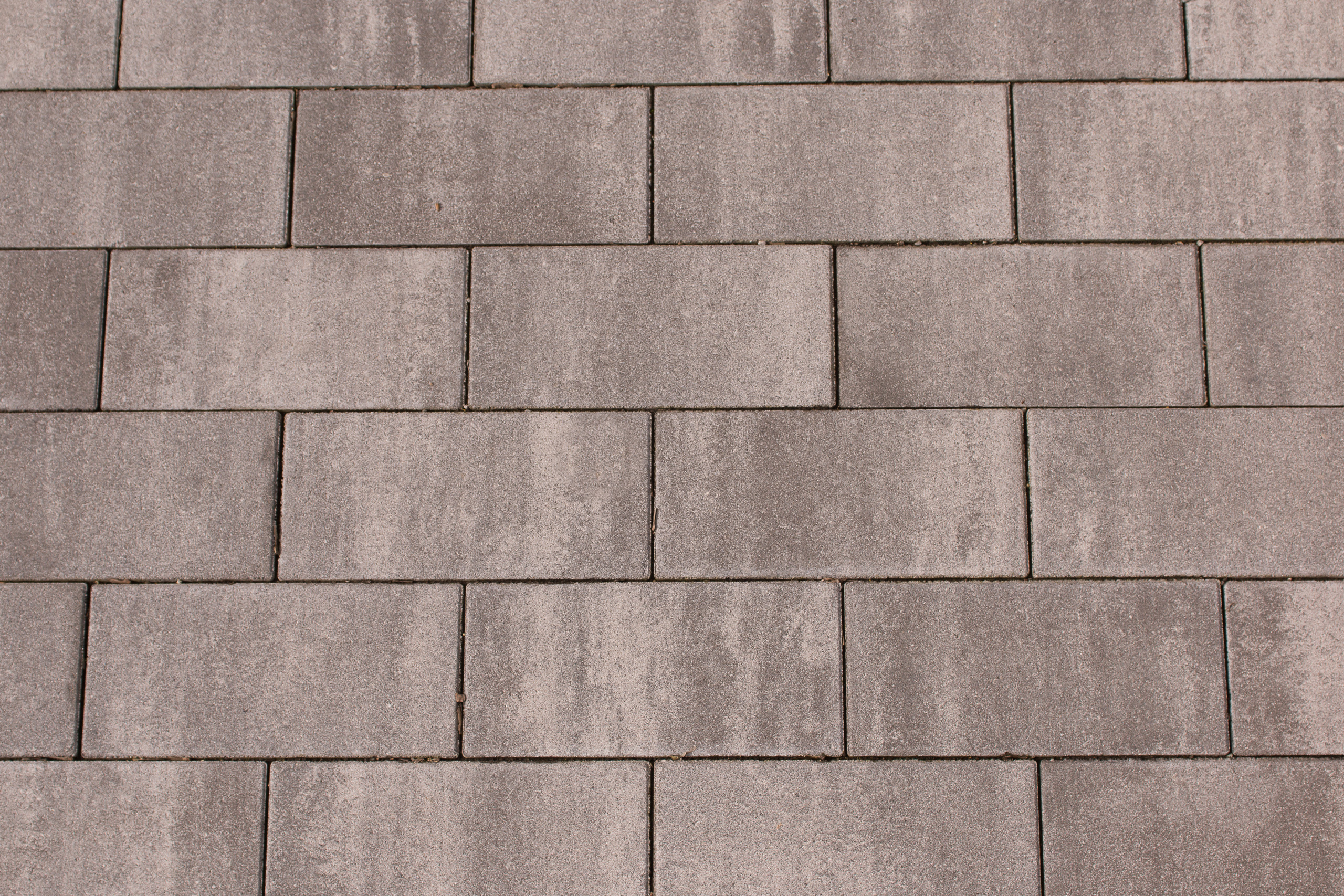 BWL Pflaster Carre 40/20/8 cm grau-schwarz-meliert